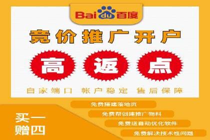 百度SEM广告投放的创意与执行：成功案例详解